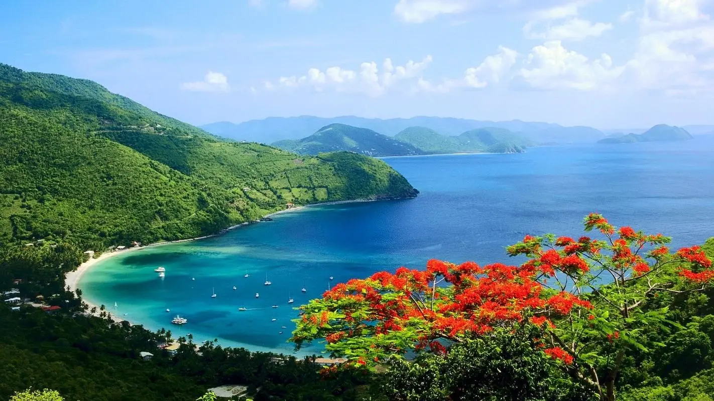 高标准高端